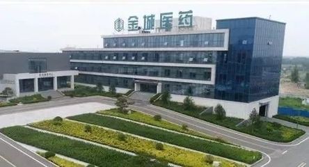 淄博“單項冠軍”全景揭秘 軟件設計產業如何鑄造隱形冠軍之路